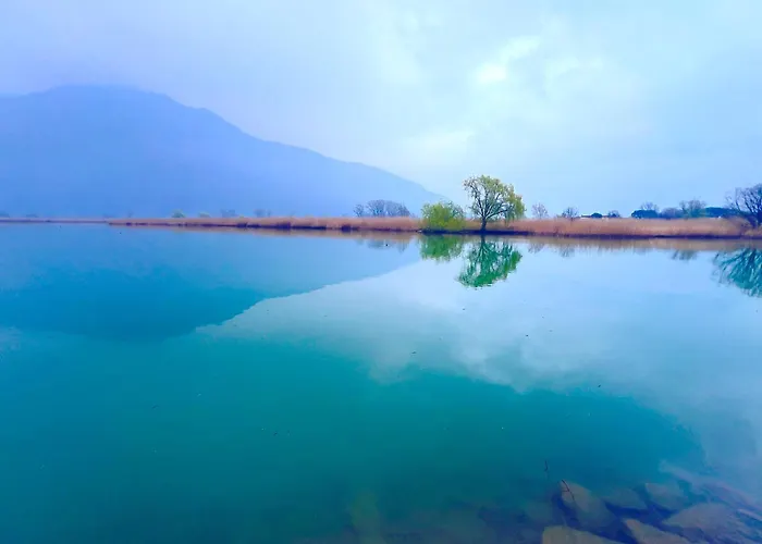 Lakefront With Private Garden And Parking Holiday home Dascio